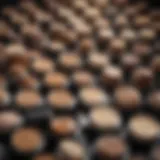 An elegant display of different foundation types showcasing variety in formulations.