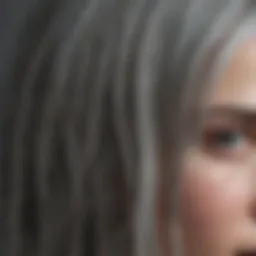 A close-up of grey hair strands reflecting light