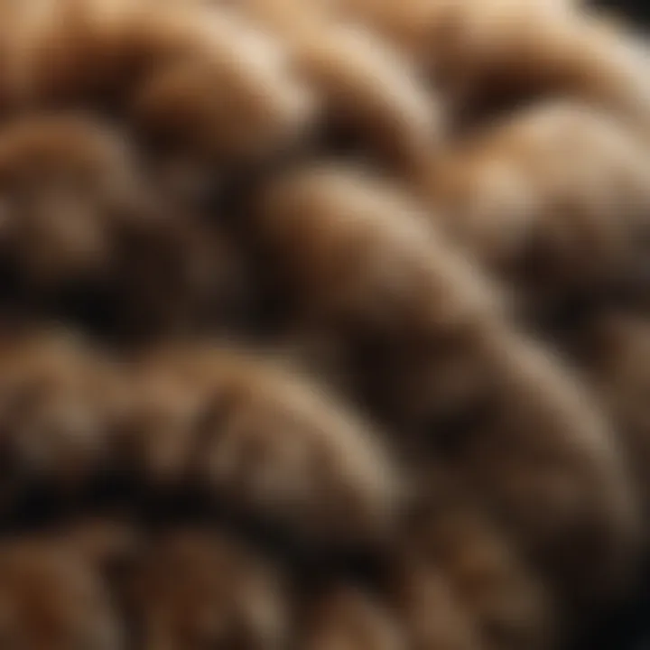 A close-up of fur texture highlighting its quality.