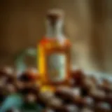 Organic Argan Oil Organic argan oil in a beautiful glass bottle surrounded by nuts