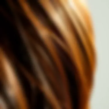 Shiny Hair After Application Close-up of shiny hair reflecting light after argan oil application