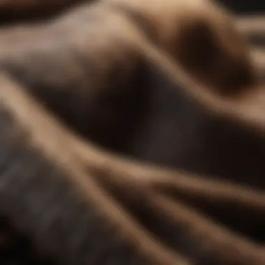 Luxurious Wool Fabric Close-up of luxurious wool fabric with texture details